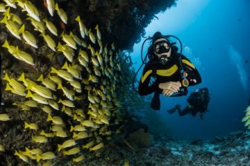 Diving Schools