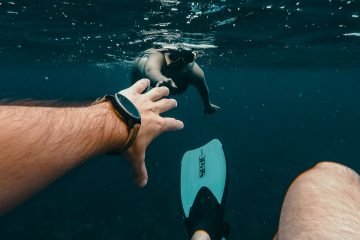 Snorkeling Spots